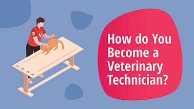 why veterinary practices should give discount