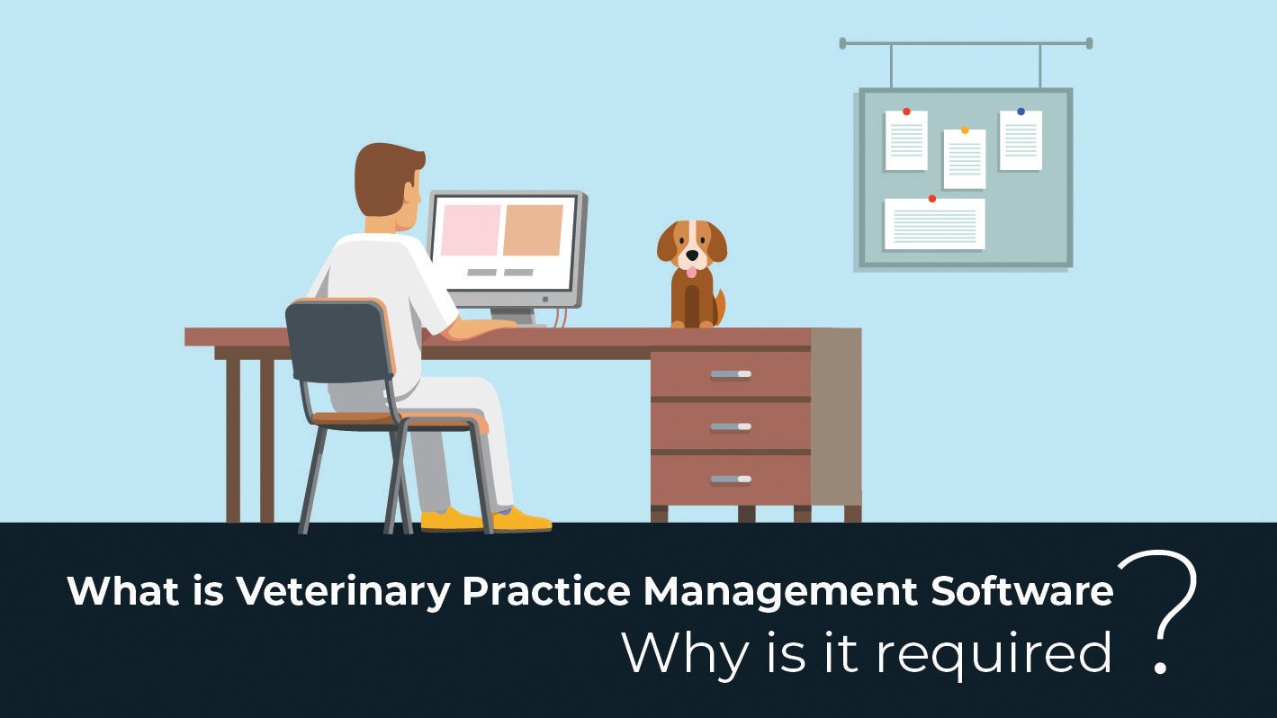 why veterinary practice management software is important